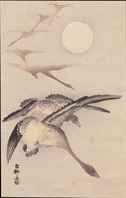 Ohara+Koson.+Eight+White-